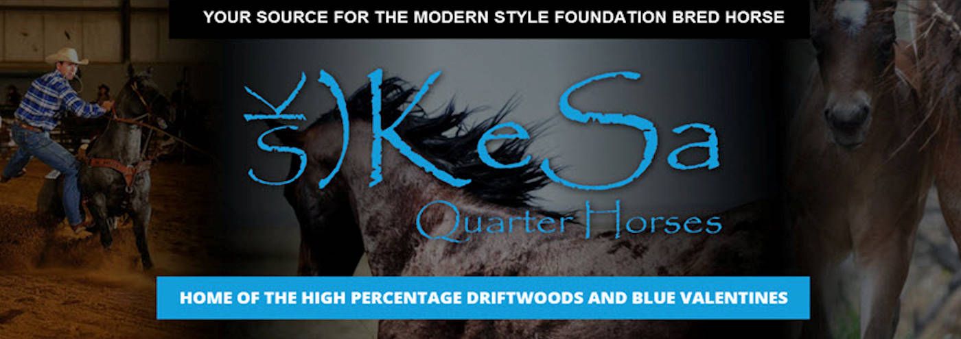 KeSa Quarterhorses